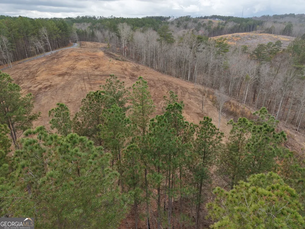 0 Johnson Mountain RD Rydal, GA 30171