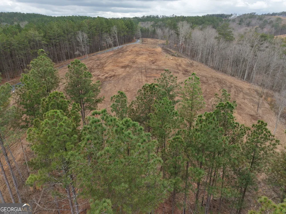 0 Johnson Mountain RD Rydal, GA 30171