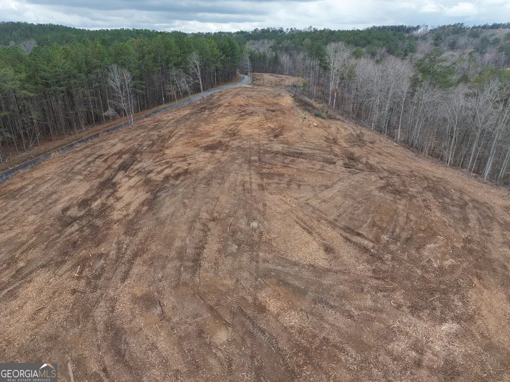 0 Johnson Mountain RD Rydal, GA 30171