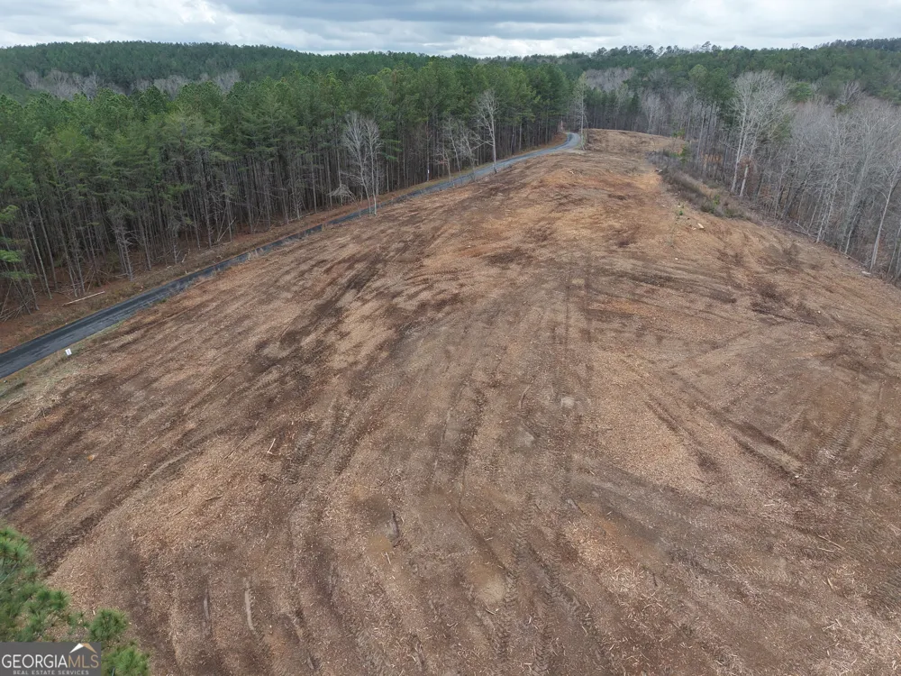 0 Johnson Mountain RD Rydal, GA 30171