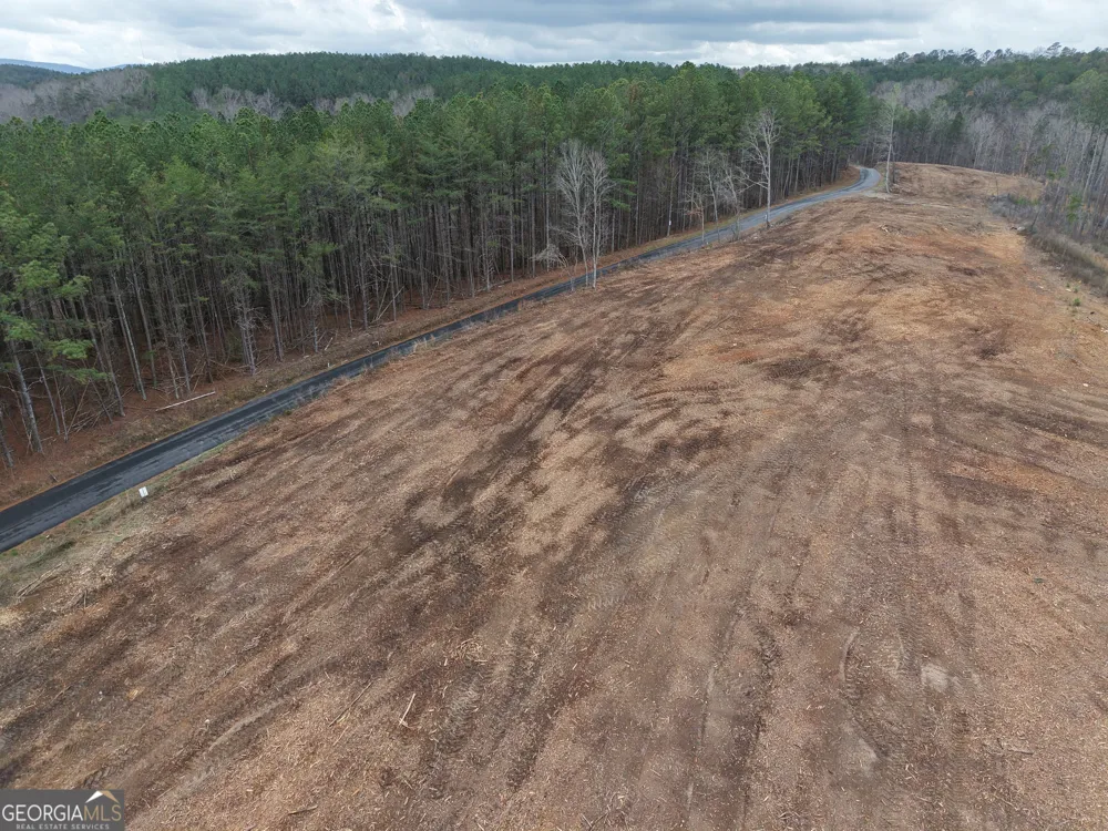 0 Johnson Mountain RD Rydal, GA 30171