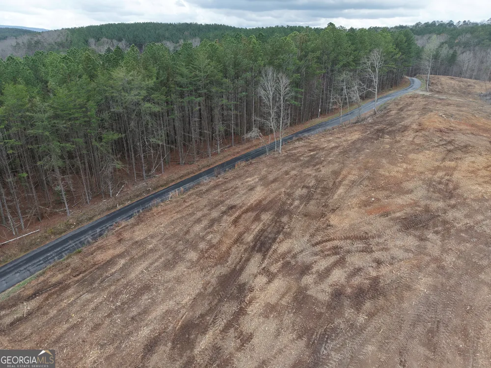 0 Johnson Mountain RD Rydal, GA 30171
