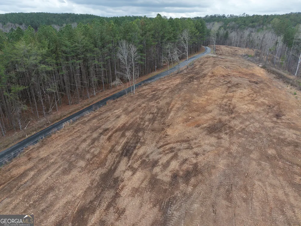 0 Johnson Mountain RD Rydal, GA 30171