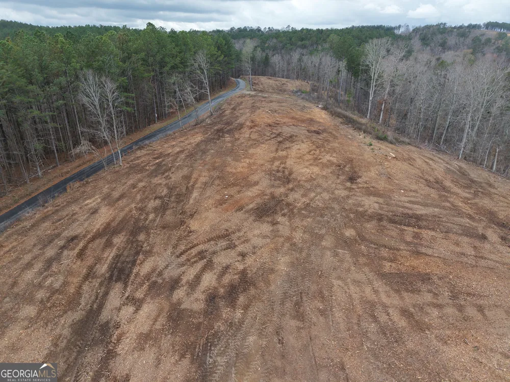 0 Johnson Mountain RD Rydal, GA 30171
