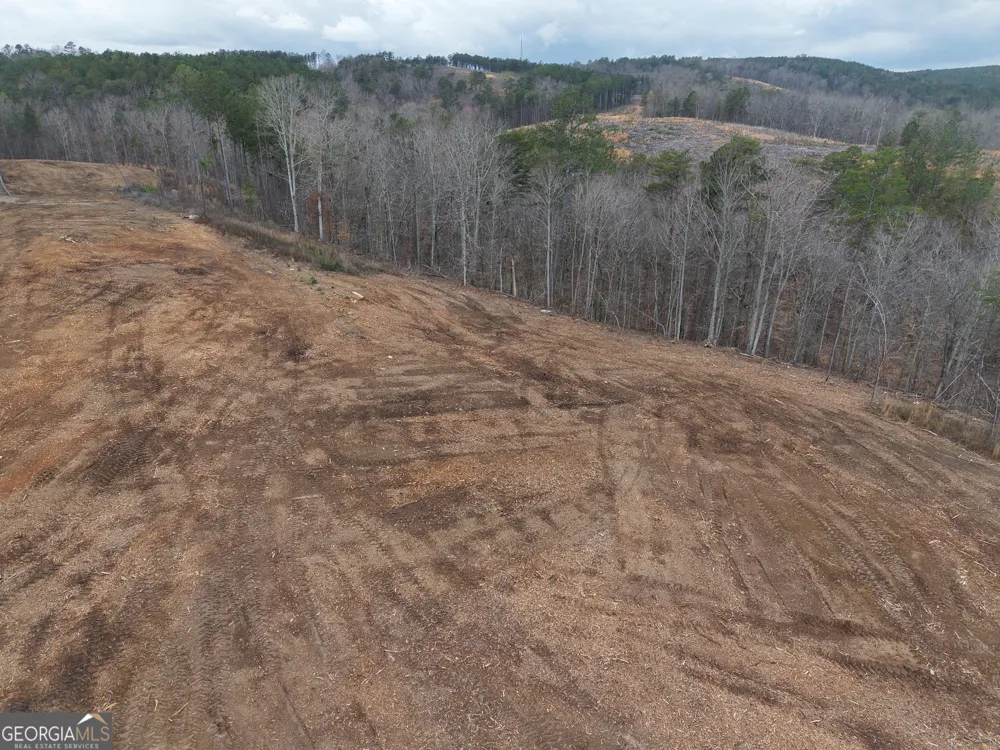 0 Johnson Mountain RD Rydal, GA 30171