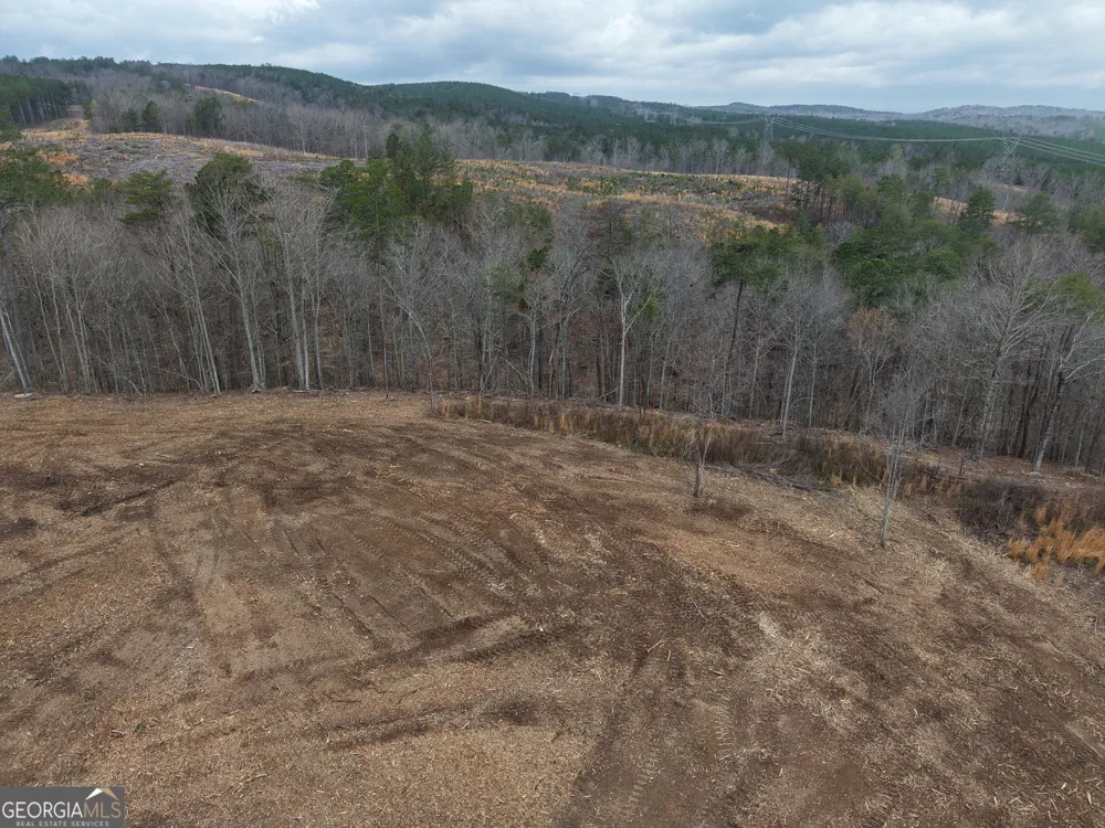 0 Johnson Mountain RD Rydal, GA 30171