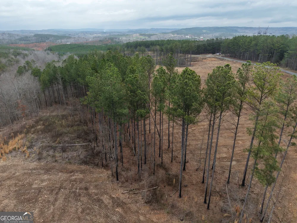 0 Johnson Mountain RD Rydal, GA 30171