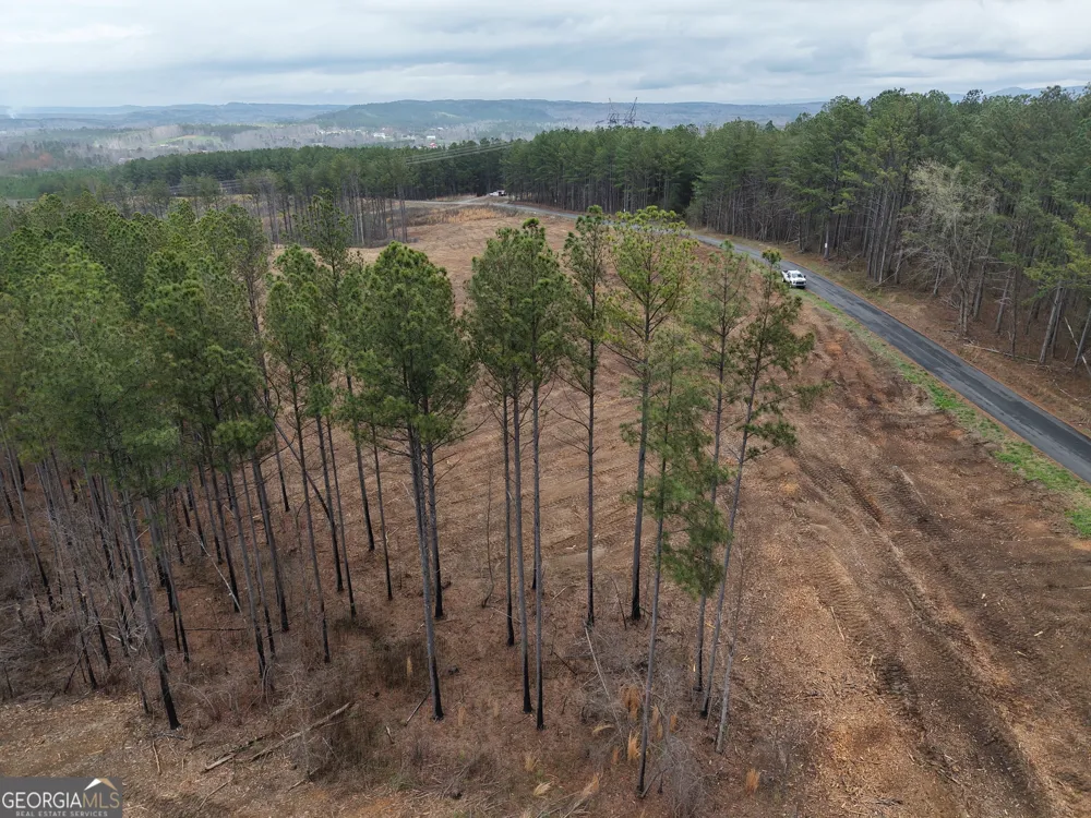 0 Johnson Mountain RD Rydal, GA 30171