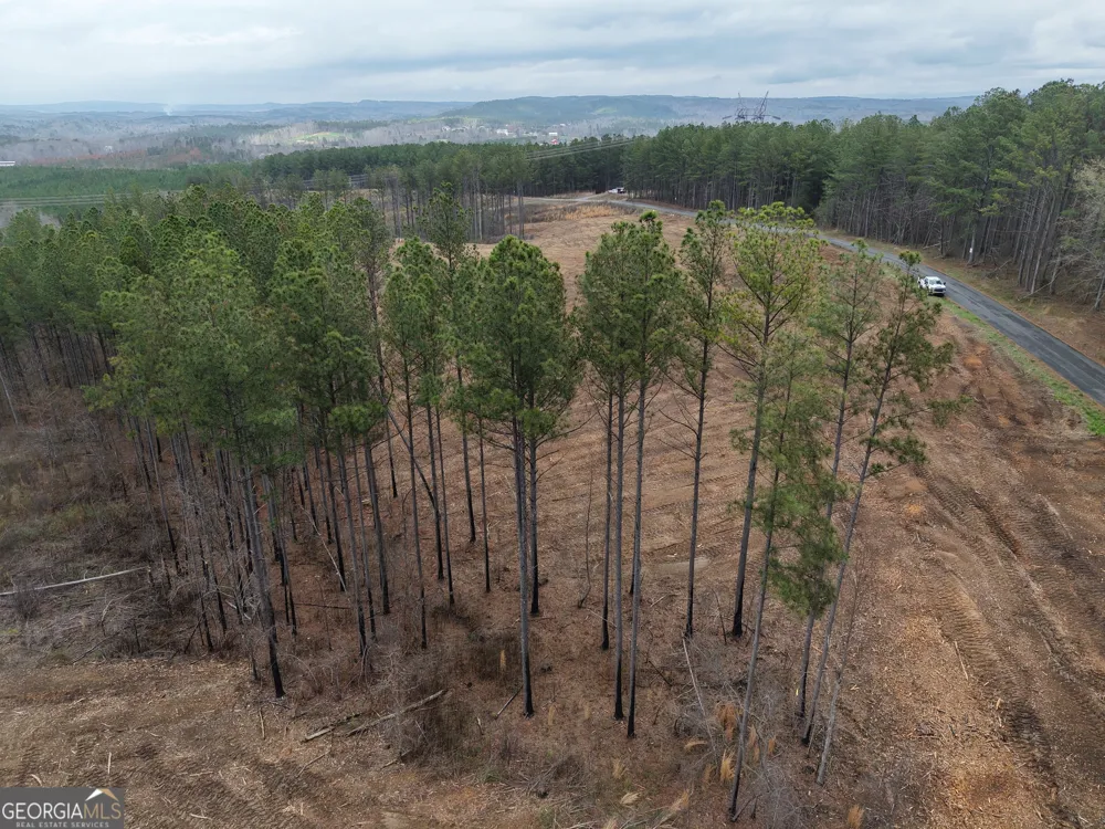 0 Johnson Mountain RD Rydal, GA 30171