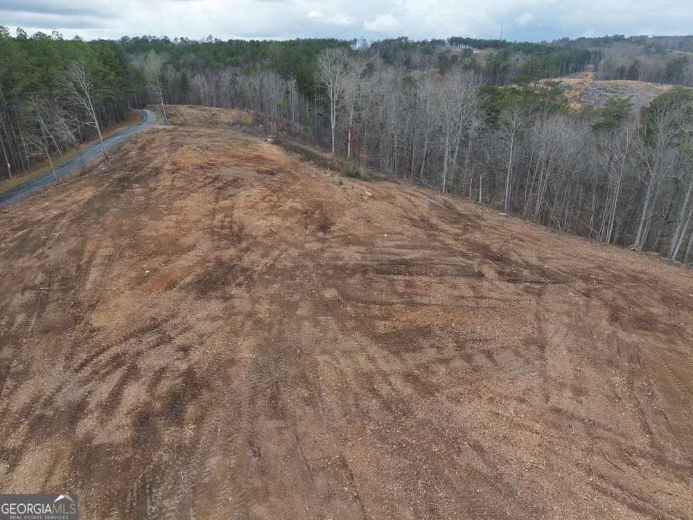 0 Johnson Mountain RD Rydal, GA 30171
