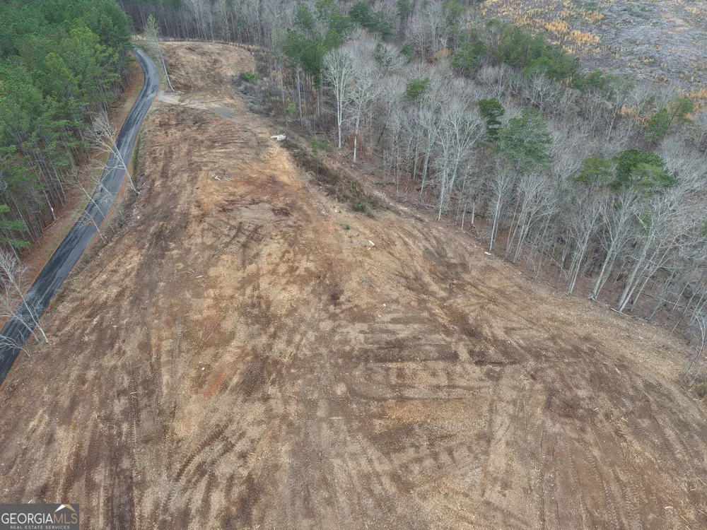 0 Johnson Mountain RD Rydal, GA 30171