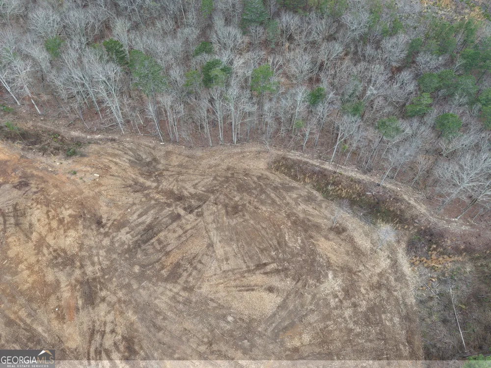 0 Johnson Mountain RD Rydal, GA 30171