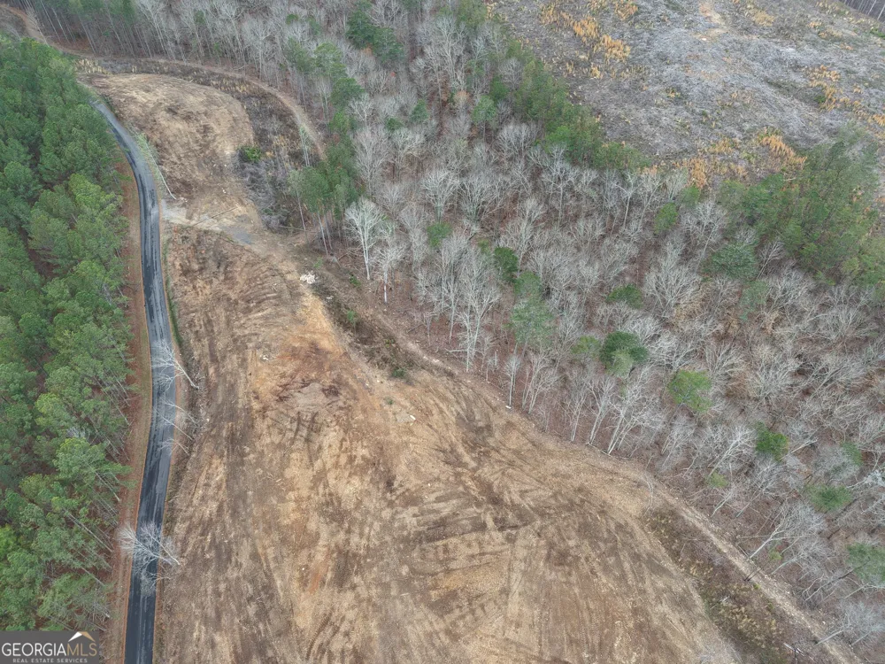 0 Johnson Mountain RD Rydal, GA 30171