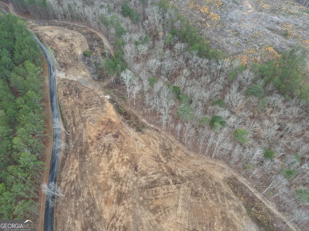 0 Johnson Mountain RD Rydal, GA 30171