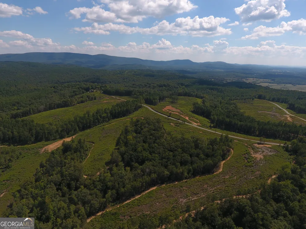 0 Johnson Mountain RD Rydal, GA 30171
