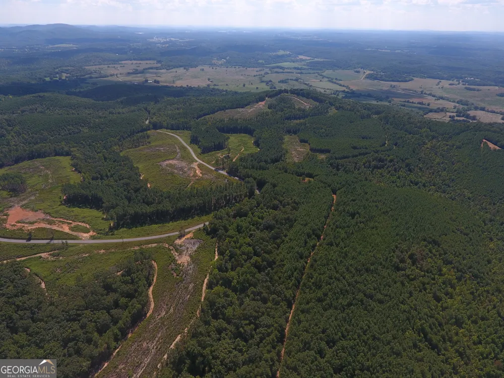 0 Johnson Mountain RD Rydal, GA 30171