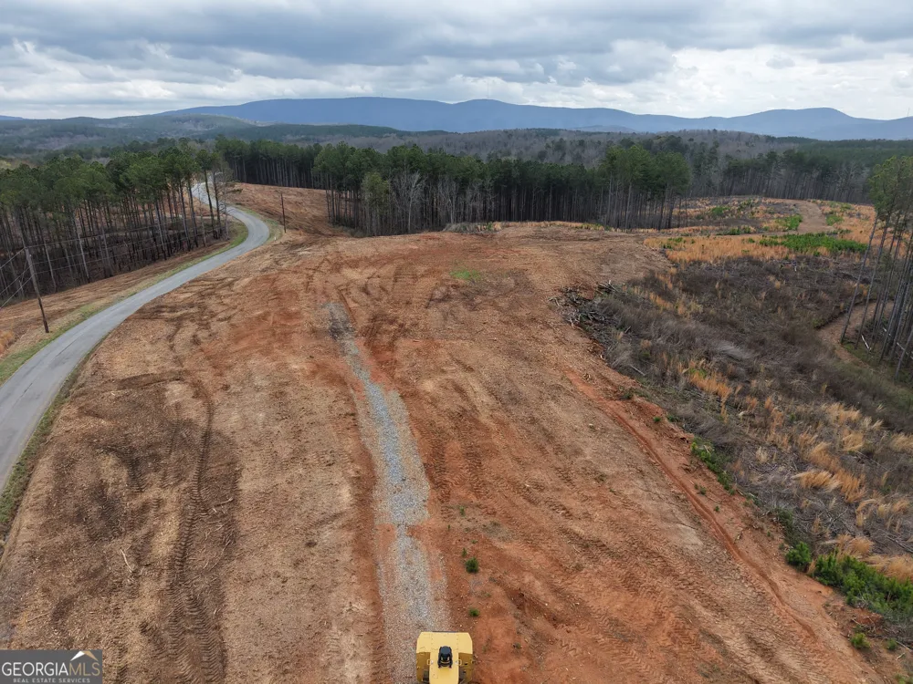 0 Johnson Mountain RD Rydal, GA 30171