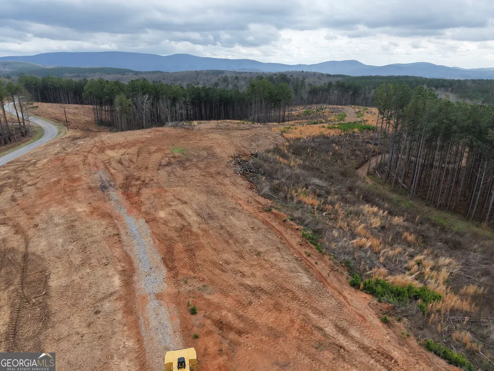 0 Johnson Mountain RD Rydal, GA 30171