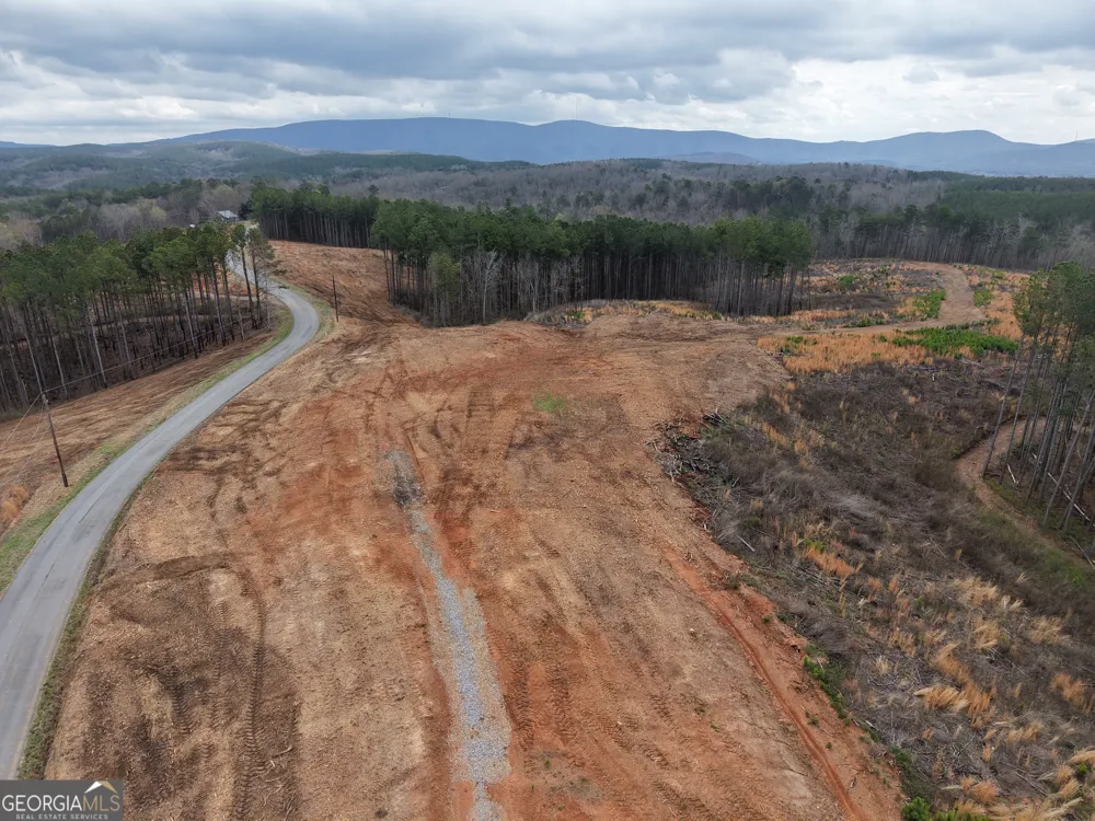 0 Johnson Mountain RD Rydal, GA 30171
