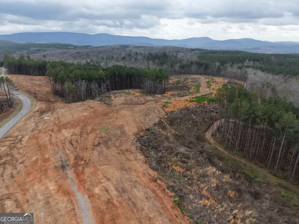0 Johnson Mountain RD Rydal, GA 30171