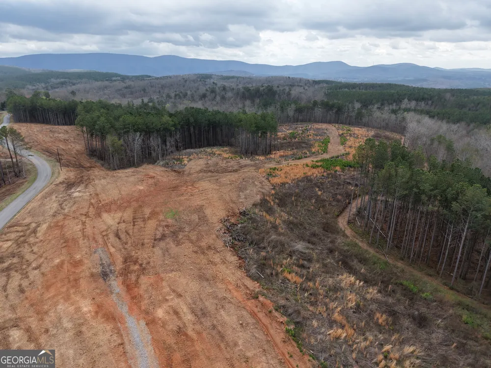0 Johnson Mountain RD Rydal, GA 30171