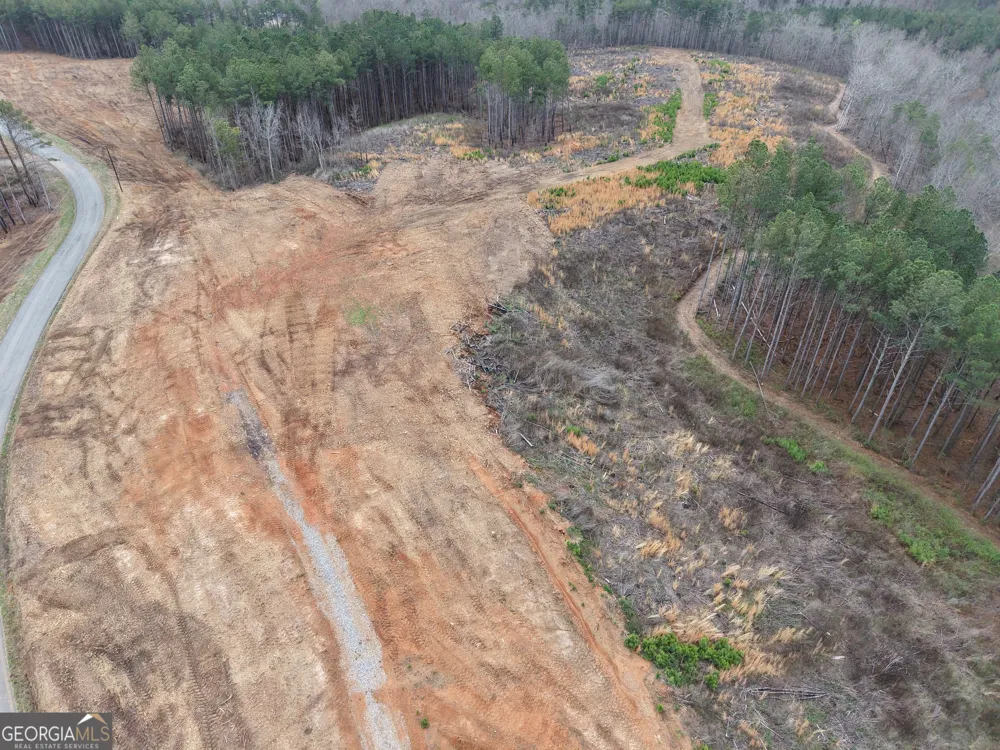 0 Johnson Mountain RD Rydal, GA 30171