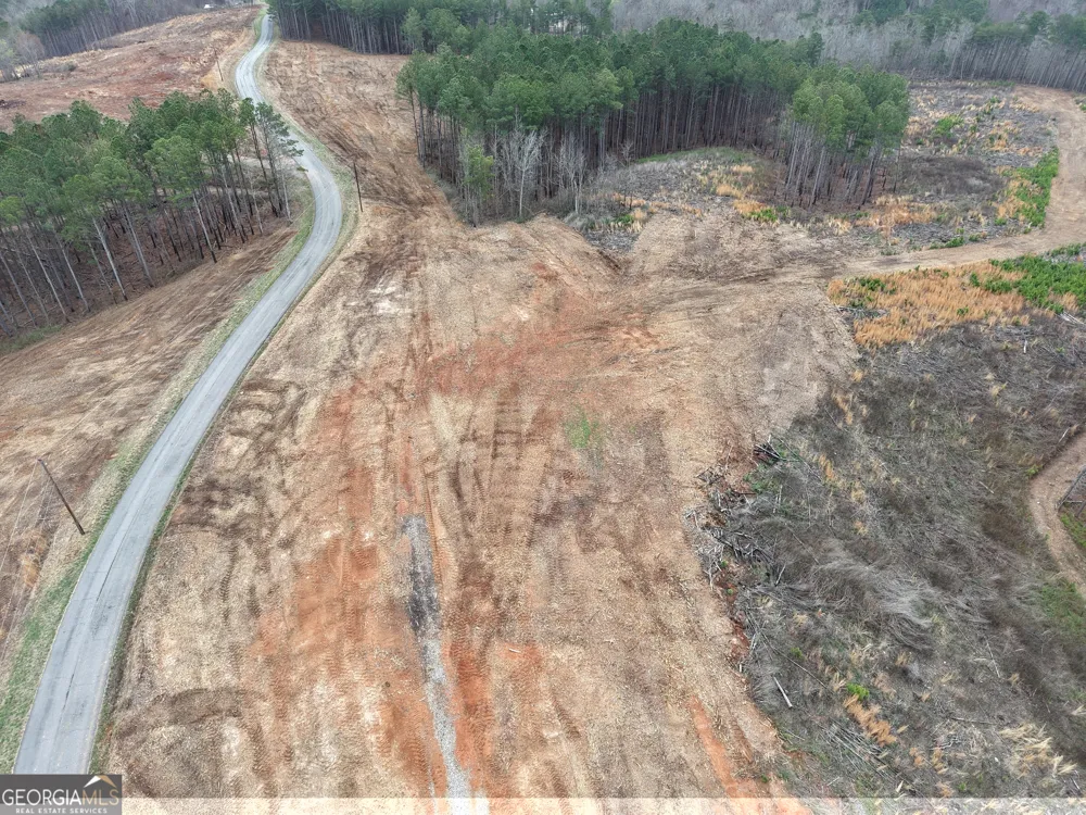 0 Johnson Mountain RD Rydal, GA 30171