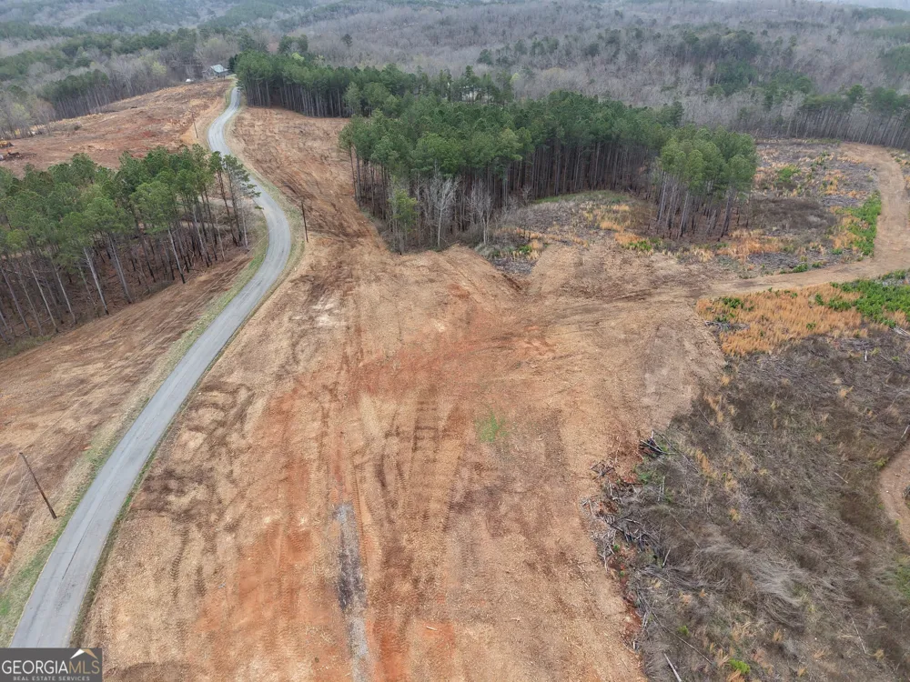 0 Johnson Mountain RD Rydal, GA 30171