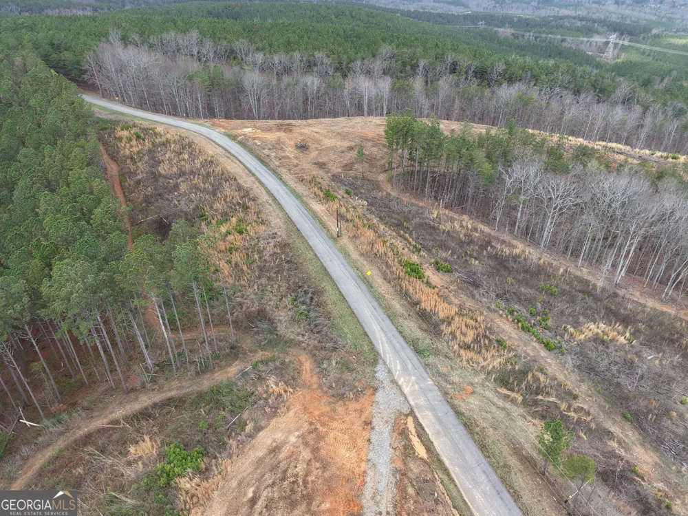 0 Johnson Mountain RD Rydal, GA 30171