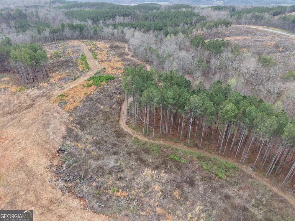 0 Johnson Mountain RD Rydal, GA 30171