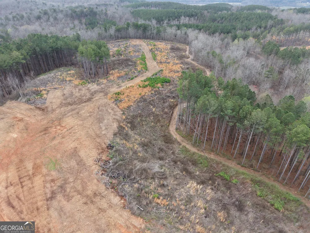 0 Johnson Mountain RD Rydal, GA 30171