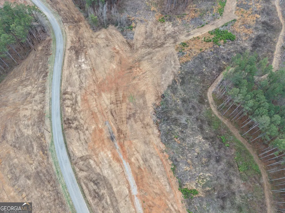 0 Johnson Mountain RD Rydal, GA 30171