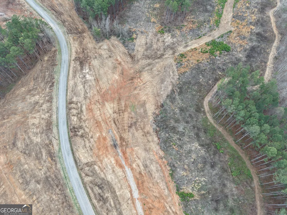 0 Johnson Mountain RD Rydal, GA 30171