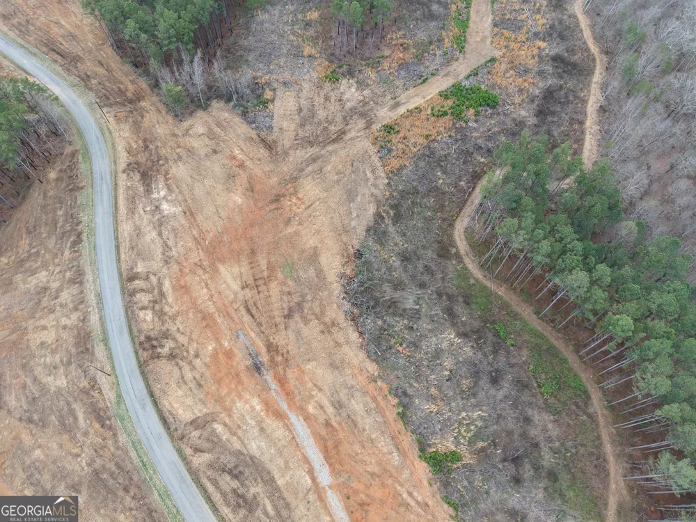 0 Johnson Mountain RD Rydal, GA 30171