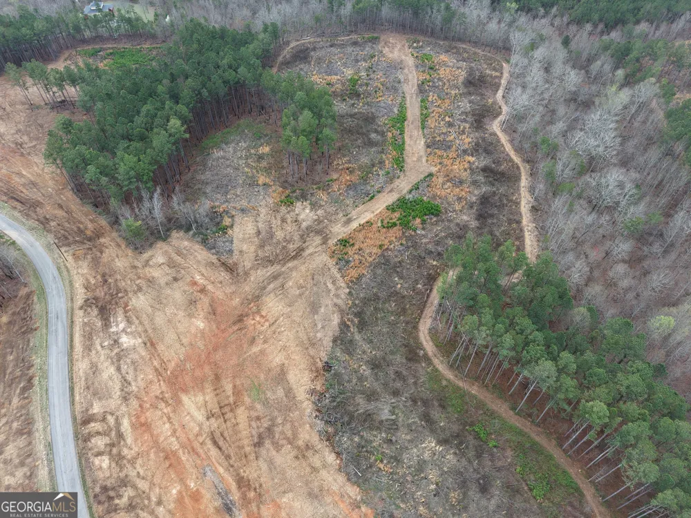 0 Johnson Mountain RD Rydal, GA 30171