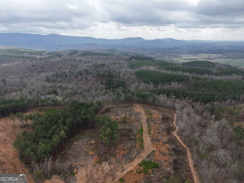 0 Johnson Mountain RD Rydal, GA 30171