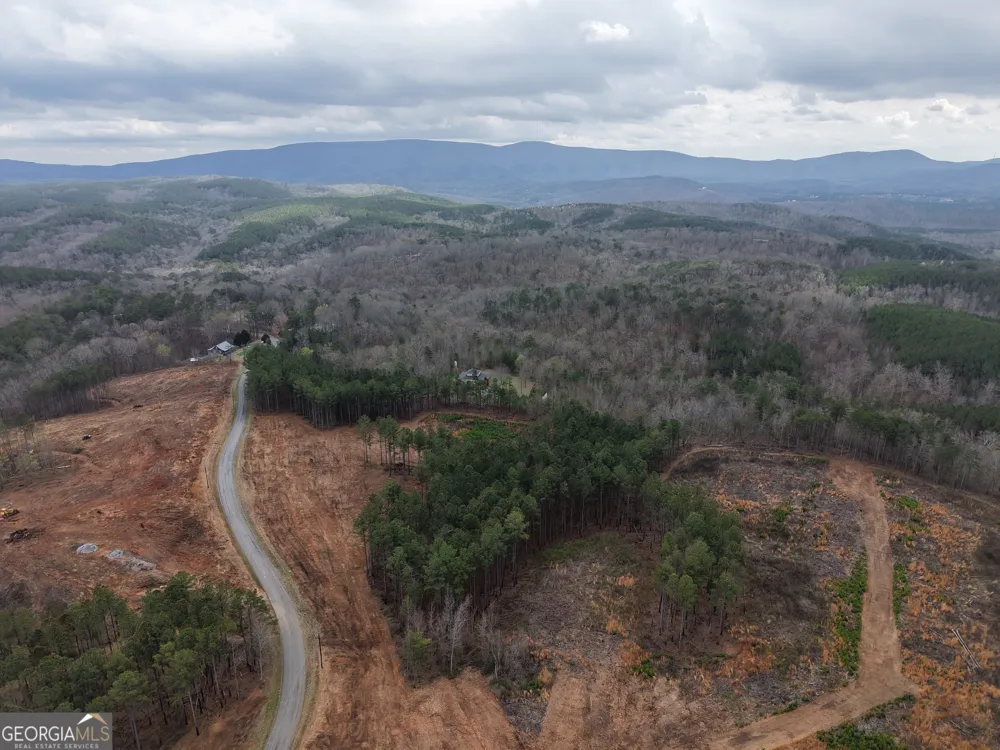 0 Johnson Mountain RD Rydal, GA 30171