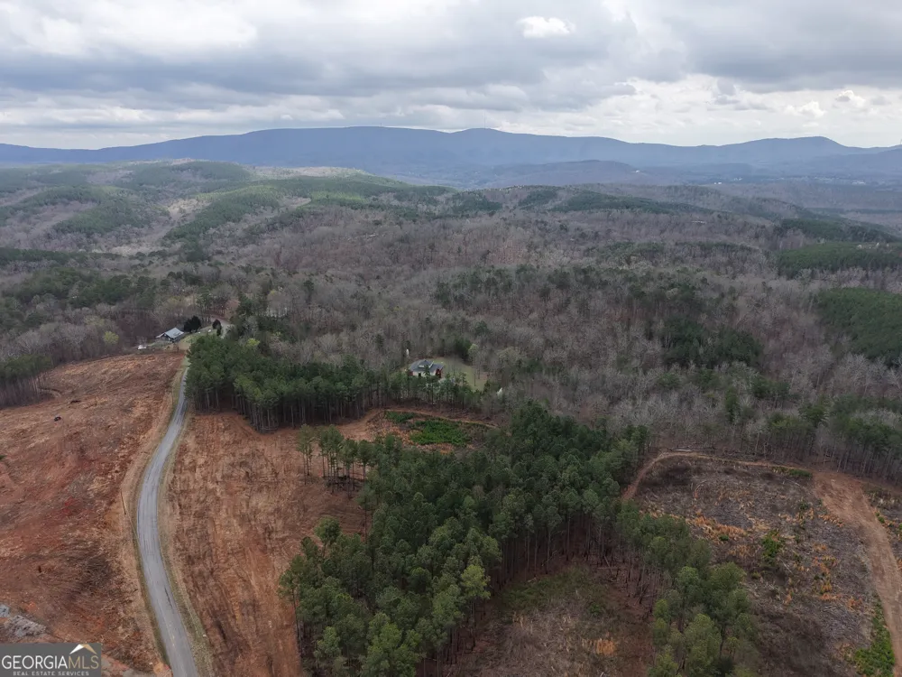 0 Johnson Mountain RD Rydal, GA 30171