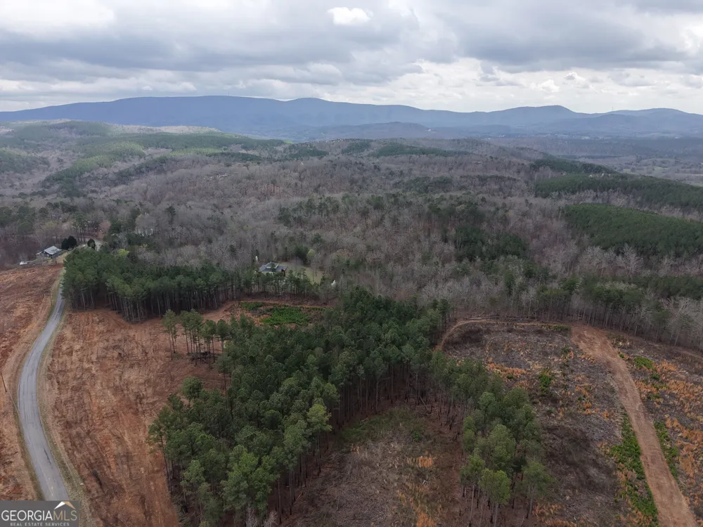 0 Johnson Mountain RD Rydal, GA 30171