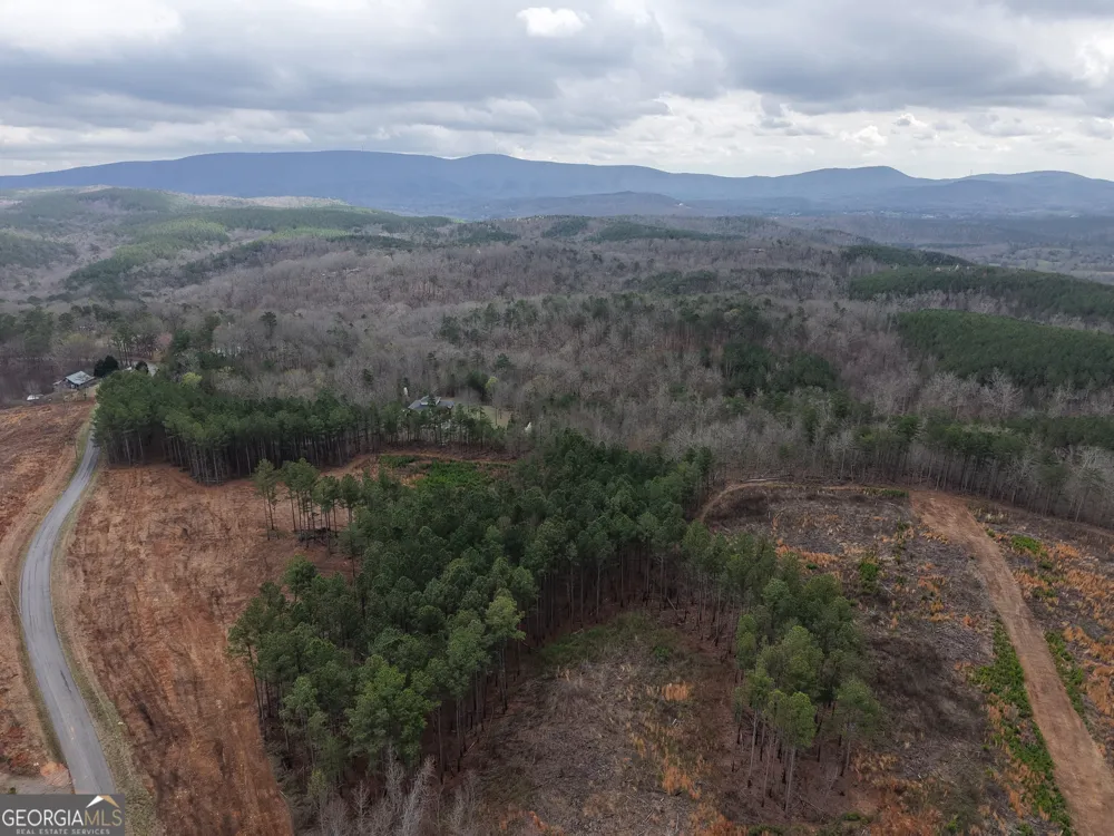 0 Johnson Mountain RD Rydal, GA 30171
