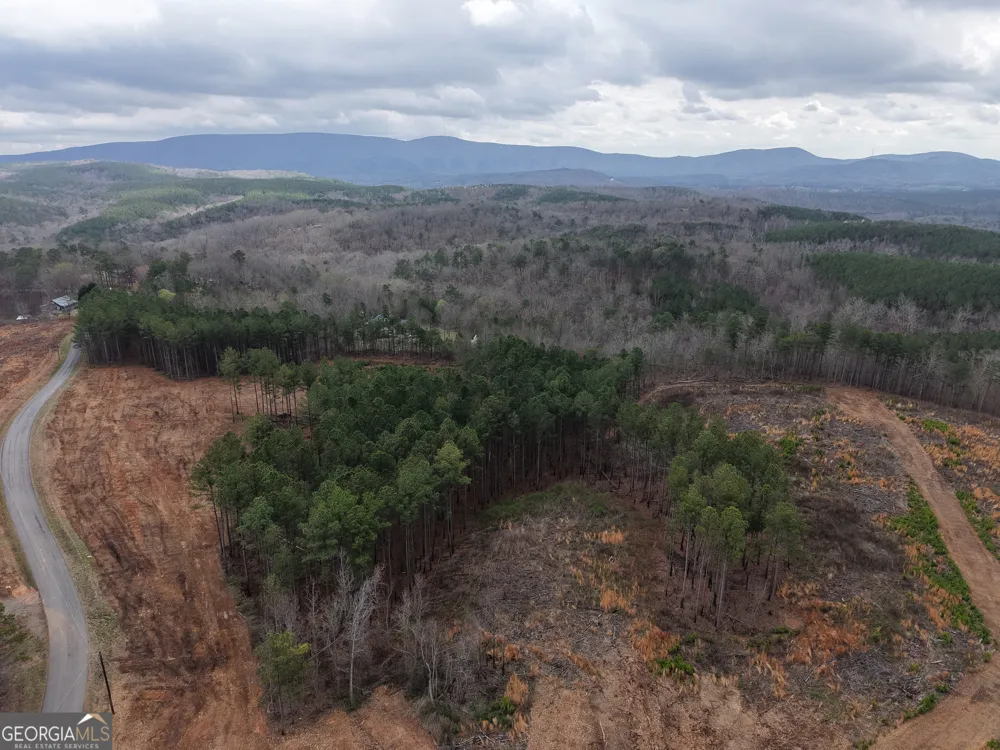 0 Johnson Mountain RD Rydal, GA 30171