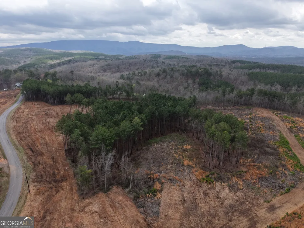 0 Johnson Mountain RD Rydal, GA 30171