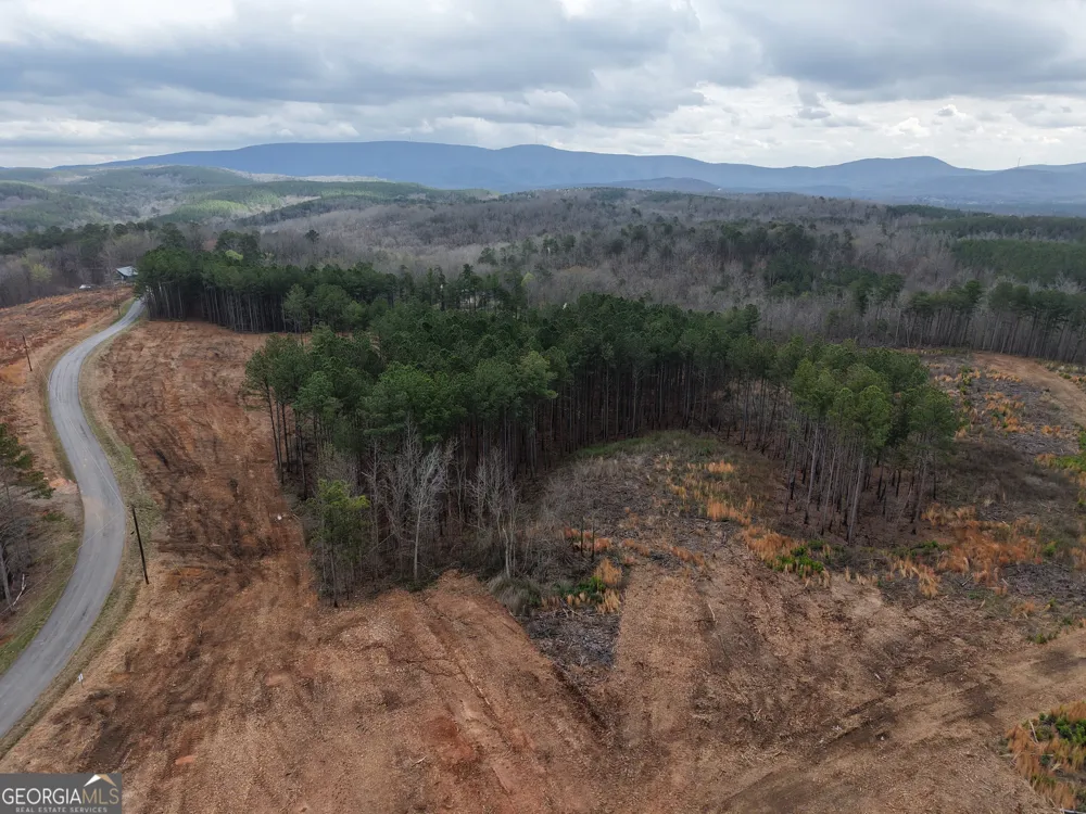 0 Johnson Mountain RD Rydal, GA 30171