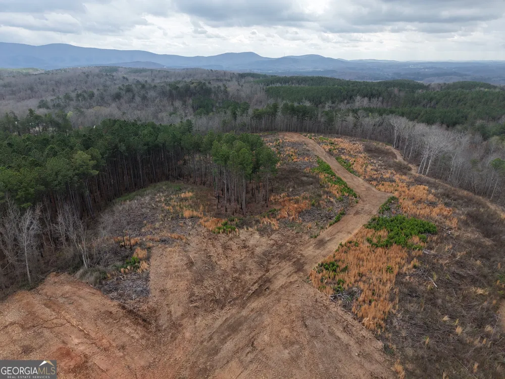 0 Johnson Mountain RD Rydal, GA 30171