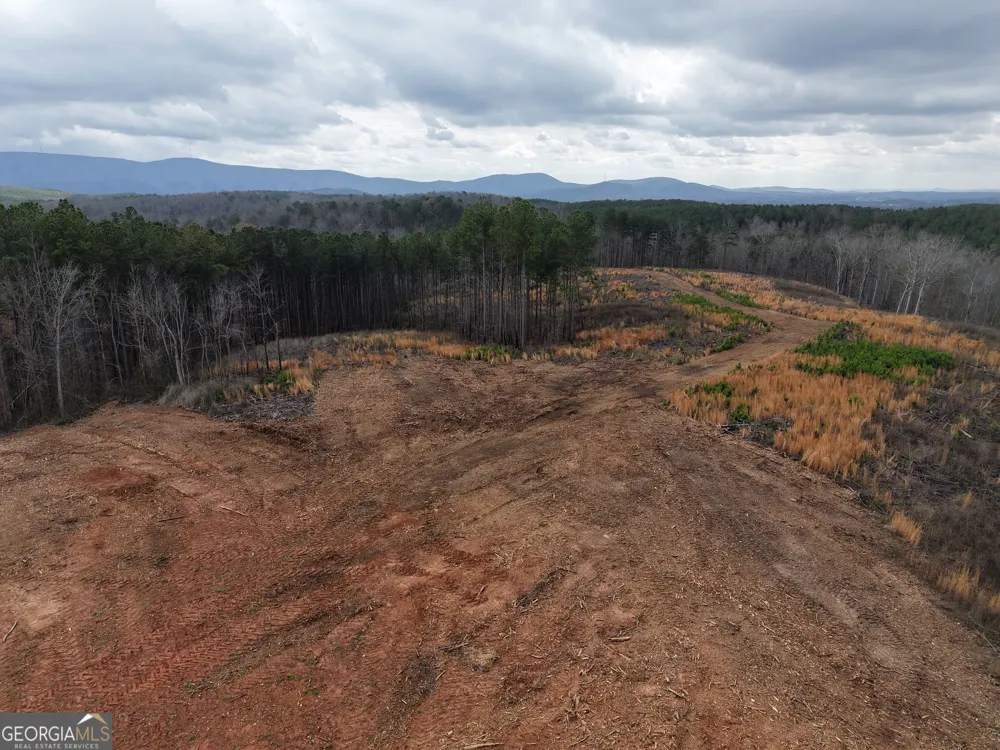 0 Johnson Mountain RD Rydal, GA 30171