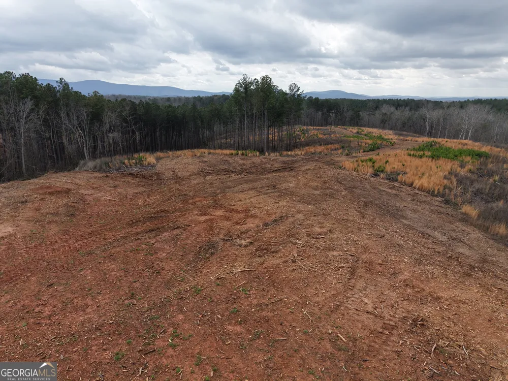 0 Johnson Mountain RD Rydal, GA 30171