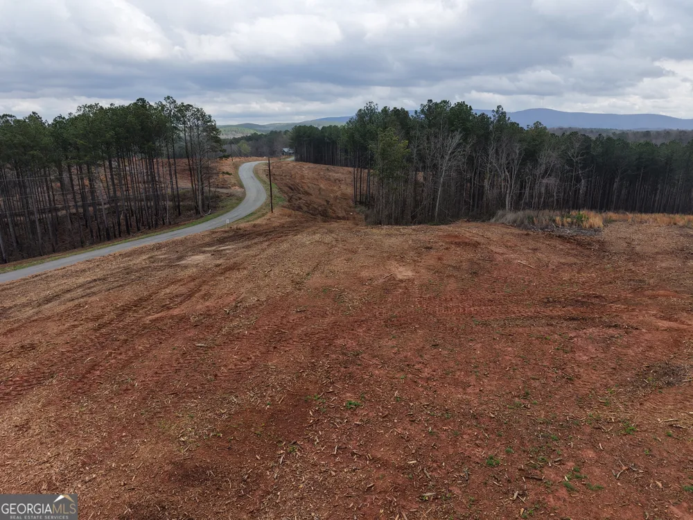 0 Johnson Mountain RD Rydal, GA 30171