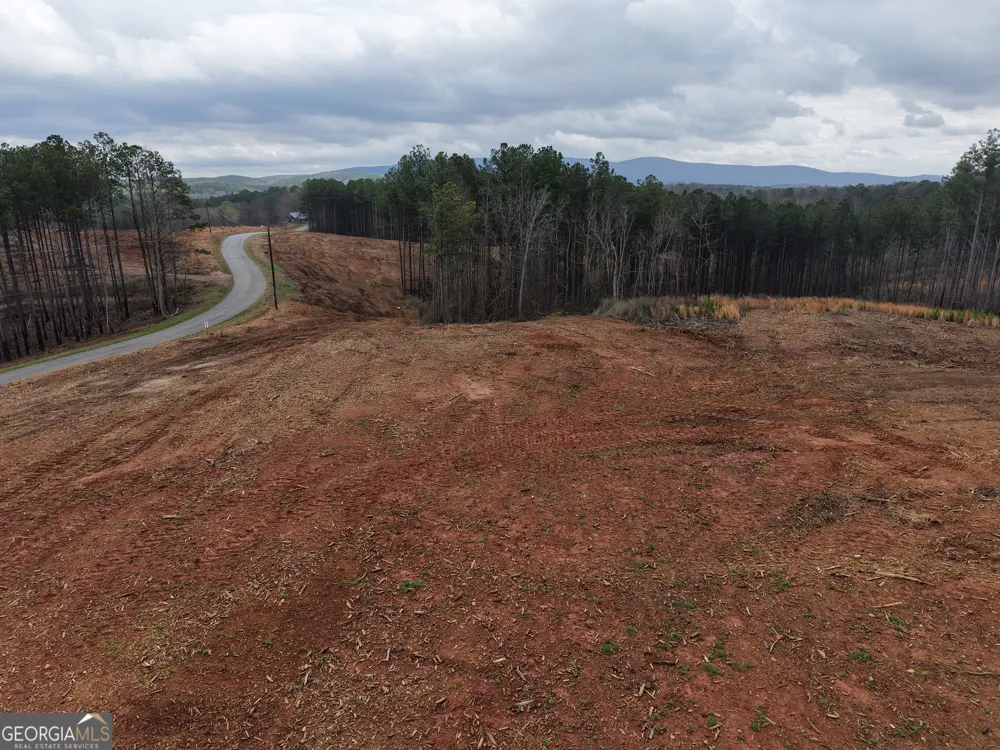 0 Johnson Mountain RD Rydal, GA 30171