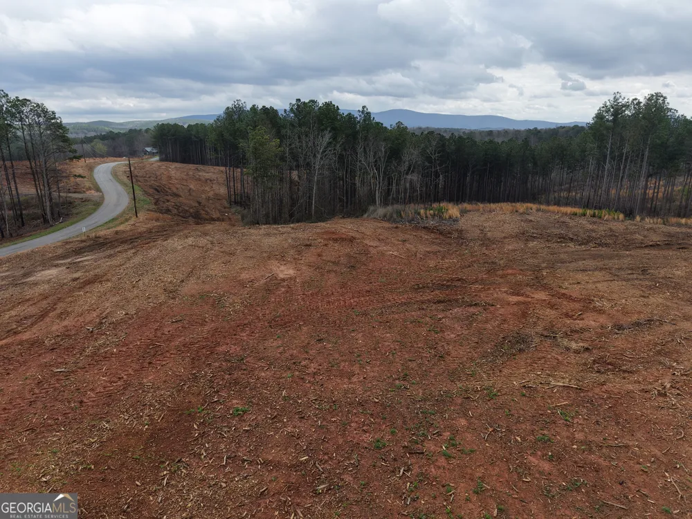 0 Johnson Mountain RD Rydal, GA 30171