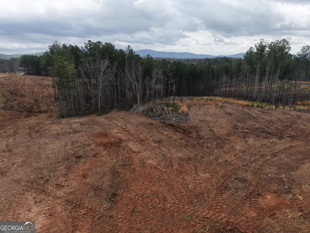 0 Johnson Mountain RD Rydal, GA 30171